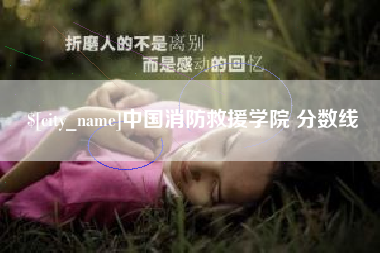 东莞中国消防救援学院 分数线