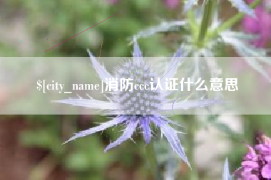 东莞消防ccc认证什么意思