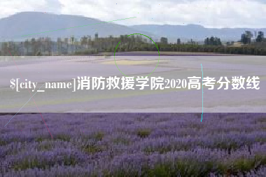 东莞消防救援学院2020高考分数线