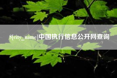 东莞中国执行信息公开网查询