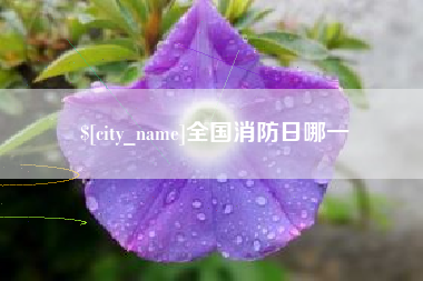 东莞全国消防日哪一