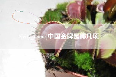 东莞中国金牌是哪几项