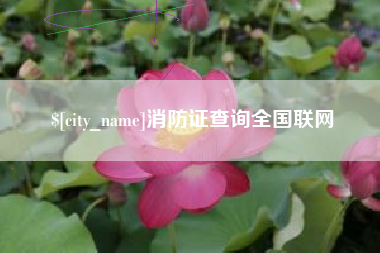 东莞消防证查询全国联网
