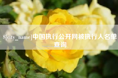 东莞中国执行公开网被执行人名单查询