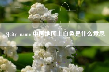 东莞中国地图上白色是什么意思