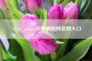 东莞中国消防网官网入口