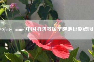 东莞中国消防救援学院地址路线图