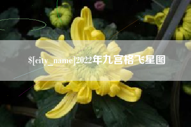 东莞2022年九宫格飞星图
