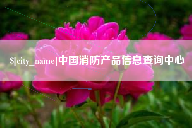 东莞中国消防产品信息查询中心