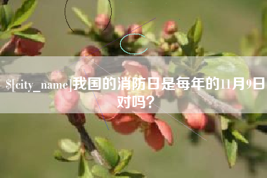 东莞我国的消防日是每年的11月9日对吗？