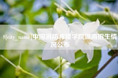 东莞中国消防救援学院湖南招生情况公布