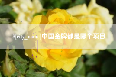 东莞中国金牌都是哪个项目