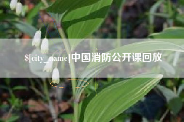 东莞中国消防公开课回放