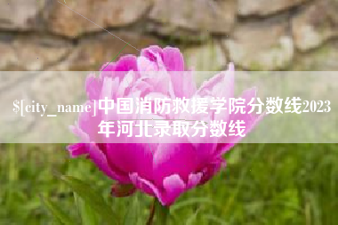 东莞中国消防救援学院分数线2023年河北录取分数线