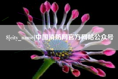 东莞中国消防网官方网站公众号