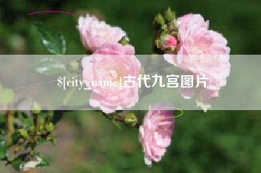 东莞古代九宫图片