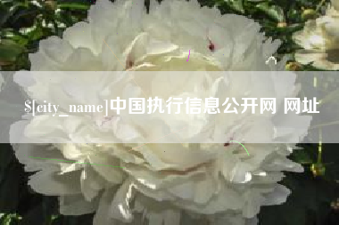 东莞中国执行信息公开网 网址