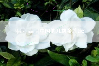 东莞中国的几块金牌2021