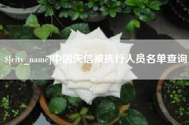 东莞中国失信被执行人员名单查询