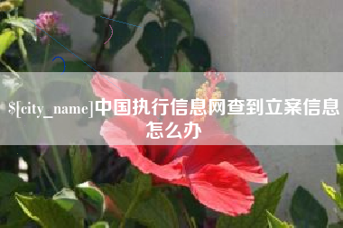 东莞中国执行信息网查到立案信息怎么办