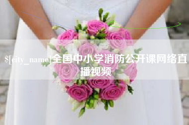 东莞全国中小学消防公开课网络直播视频