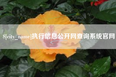 东莞执行信息公开网查询系统官网