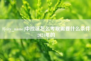 东莞中控证怎么考取需要什么条件2024年的
