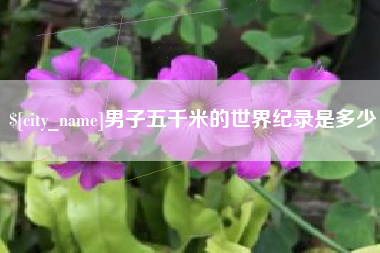东莞男子五千米的世界纪录是多少