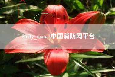 东莞中国消防网平台