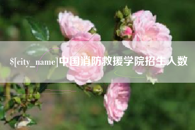 东莞中国消防救援学院招生人数