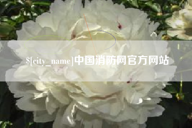 东莞中国消防网官方网站