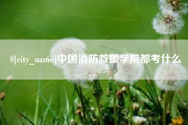东莞中国消防救援学院都考什么