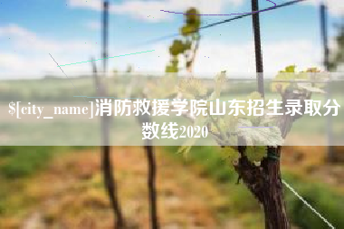 东莞消防救援学院山东招生录取分数线2020
