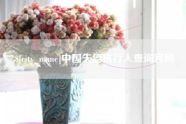 东莞中国失信执行人查询官网