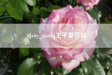 东莞王子豪百科