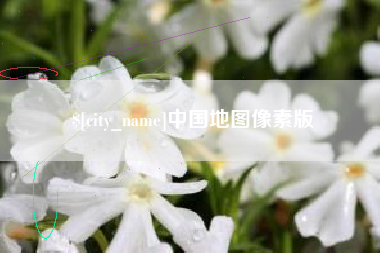 东莞中国地图像素版