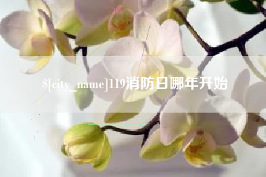 东莞119消防日哪年开始