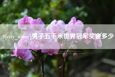 东莞男子五千米世界冠军奖金多少