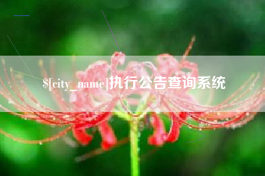 东莞执行公告查询系统