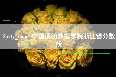 东莞中国消防救援学院浙江省分数线