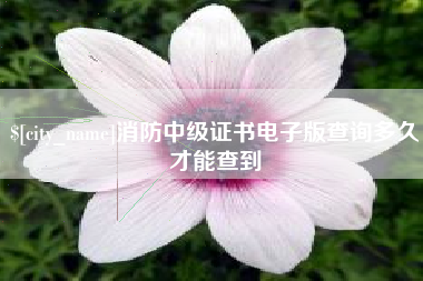 东莞消防中级证书电子版查询多久才能查到