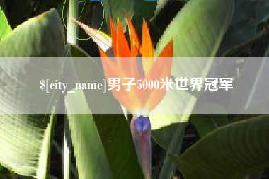 东莞男子5000米世界冠军