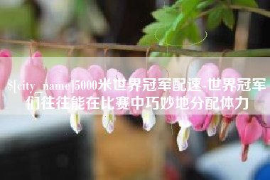 东莞5000米世界冠军配速-世界冠军们往往能在比赛中巧妙地分配体力
