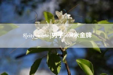 东莞男子5000米金牌