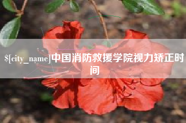 东莞中国消防救援学院视力矫正时间