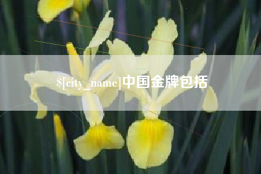 东莞中国金牌包括