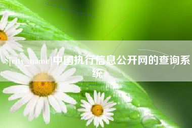 东莞中国执行信息公开网的查询系统