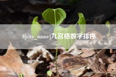 东莞九宫格数字排序