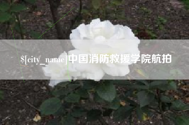 东莞中国消防救援学院航拍