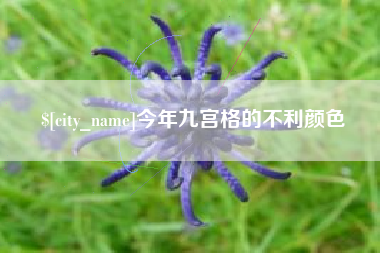 东莞今年九宫格的不利颜色